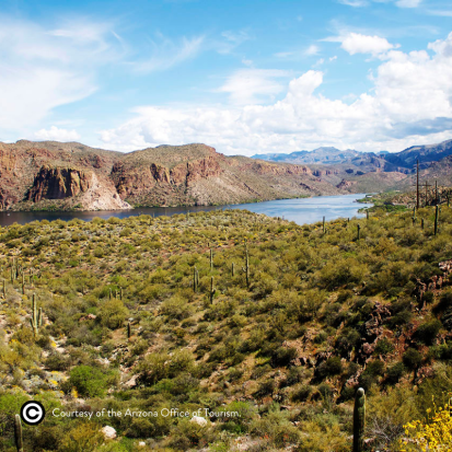 Apache Trail Tour (Phoenix)