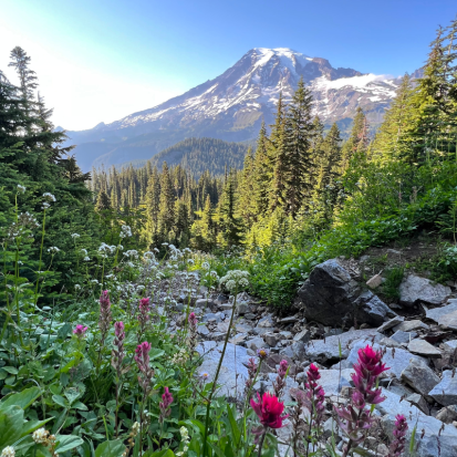 Mount Rainier Day Tour (Seattle)