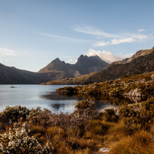 Wild Tasmania