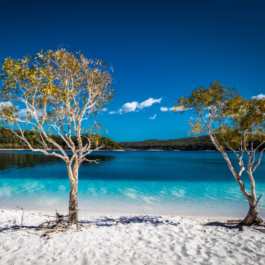 Fraser Island (K'gari)