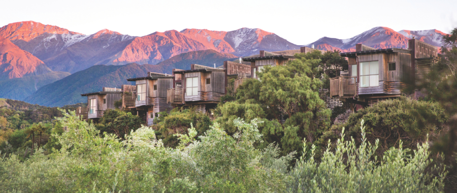 Hapuku Lodge & Treehouses