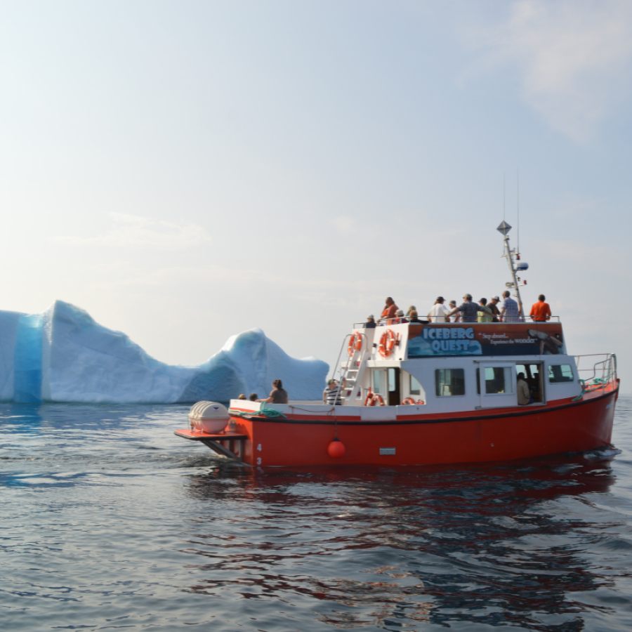 Iceberg Quest Boat Tour (Newfoundland)