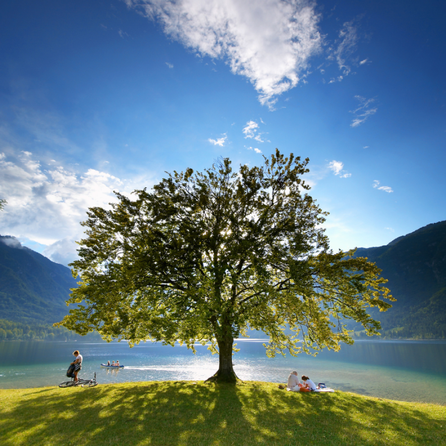 Lake Bohinj